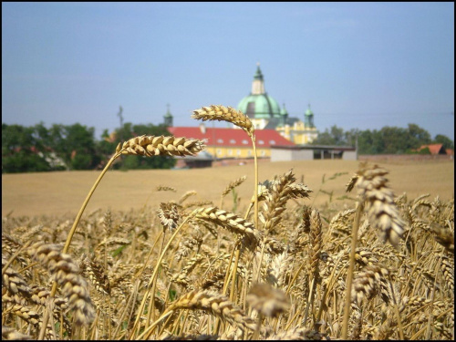 Bazylika na Świętej Górze