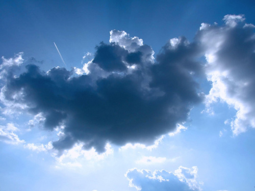 #chmury #samolot #niebo #slonce #tapeta #artystyczne #wiosna #przyroda #makro #drzewo