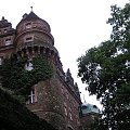 Zamek w Książu