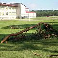 Skutki nawałnicy w Piaskach Wielkopolskich