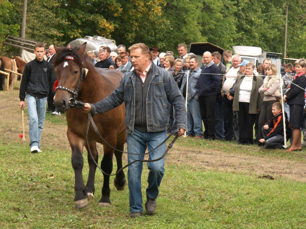 Powiatowe Święto Plonów w Dowspudzie 6 września 2009 #konie #dożynki #Dowspuda