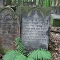 WARSZAWA - cmentarz żydowski przy ul. Okopowej