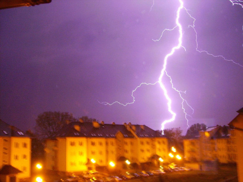 to moje trofeum z ubiegłego roku -upolowane w nocy przez mokre okno kuchenne