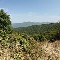 #Bieszczady