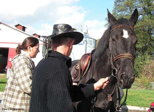 2008.10.18 Hubertus I