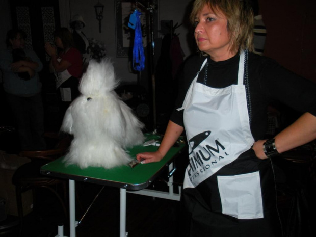 Grooming workshop cd.