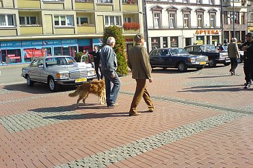 Zlot pojazdów zabytkowych - Bytom #zlot