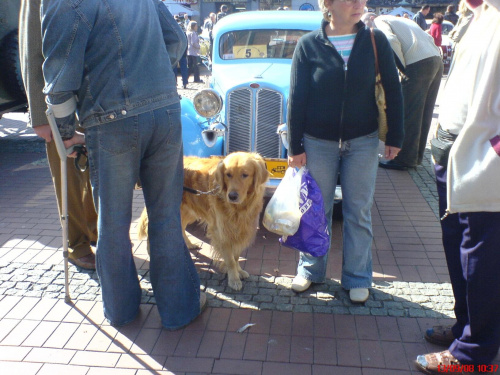 Zlot pojazdów zabytkowych - Bytom