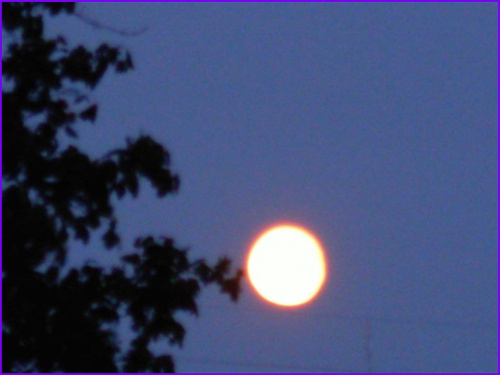 złapałam ksieżyc-hmm troche niewyraźnie:)) #mazury