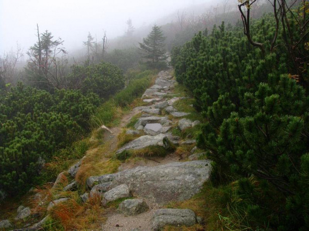 górska ścieżka #góry #Karkonosze #SzklarskaPoręba #Szrenica #szlak #ścieżka