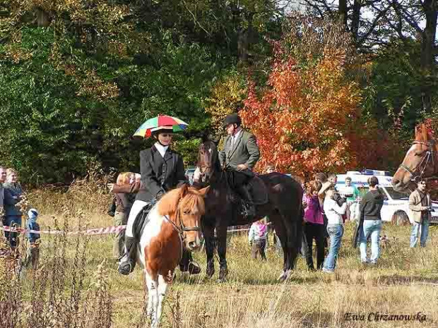 2008.10.18 Hubertus I