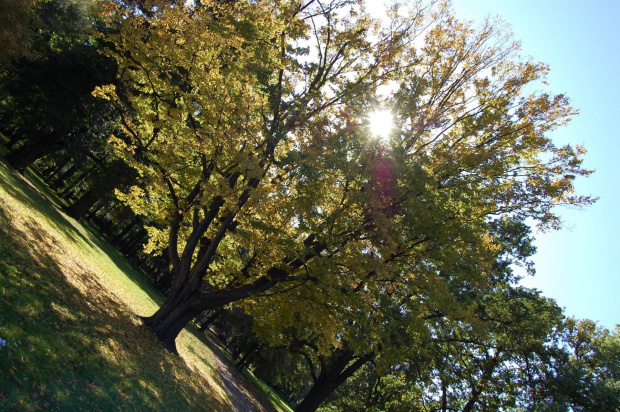 Park Legnica- jesień 2008 #park #Legnica #jesień