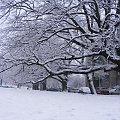 Szczecin pełen śniegu #Zima #Szczecin #Śnieg
