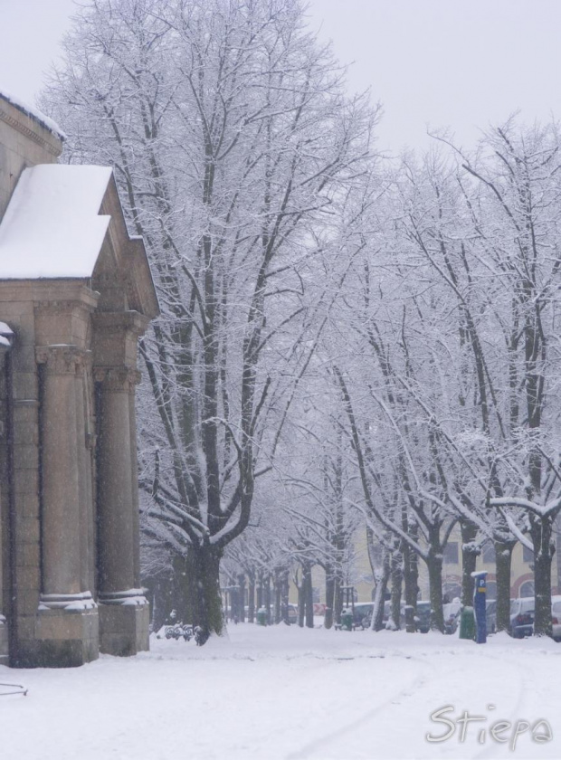 Szczecin pełen śniegu #Zima #Szczecin #Śnieg