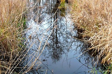 ODBICIA W WODZIE #ODBICIA