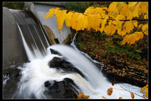 Jesien 2008 #jesien #wodospad #liscie