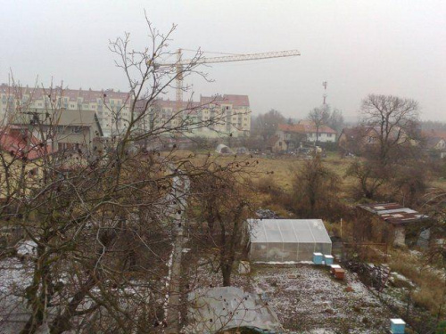 Widok z okna dachowego na mój ogród