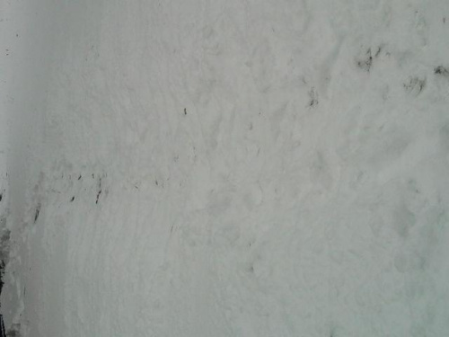 Znów spadł śnieg 10.01.2010