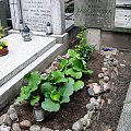 Grób Aleksandra Żabczyńskiego i jego żony Marii na Cmentarzu Wojskowym na Powązkach w Warszawie (ur. 24 lipca 1900 r. w Warszawie, zm. 31 maja 1958 r. )