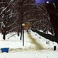 Park na Warszawskim Powiślu
Kodak FarbWelt 100 #warszwa #powiśle #park #zima #śnieg #ludzie #drzewa