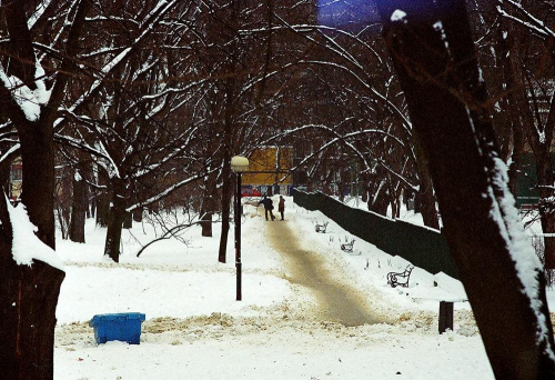Park na Warszawskim Powiślu
Kodak FarbWelt 100 #warszwa #powiśle #park #zima #śnieg #ludzie #drzewa