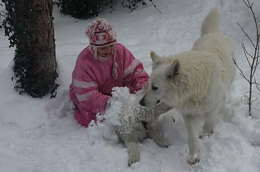 Biały owczarek szwajcarski www.zchatyleona.republika.pl #BiałyOwczarekSzwajcarski #opole #siołkowice #kois #BiałyOwczarek #ZChatyLeona #bogacz #hrabia #awa #cygan #aventia
