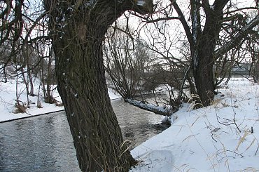 Bóbr #Rzeki #krajobrazy #przyroda