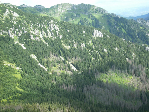 Zakopane 2009, sierpień, w drodze na Ornak