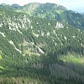 Zakopane 2009, sierpień, w drodze na Ornak