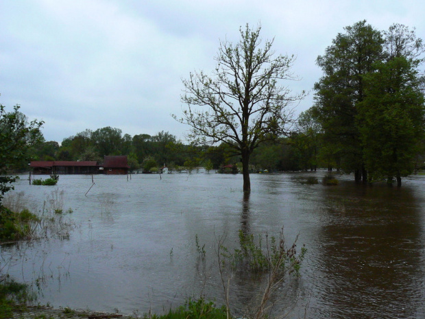powódź2010,Rudy #powódź2010 #Rudy