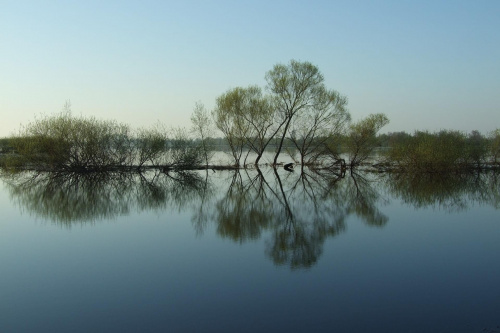 Zespół przyrodniczo-krajobrazowy"Porzecze" #krajobraz