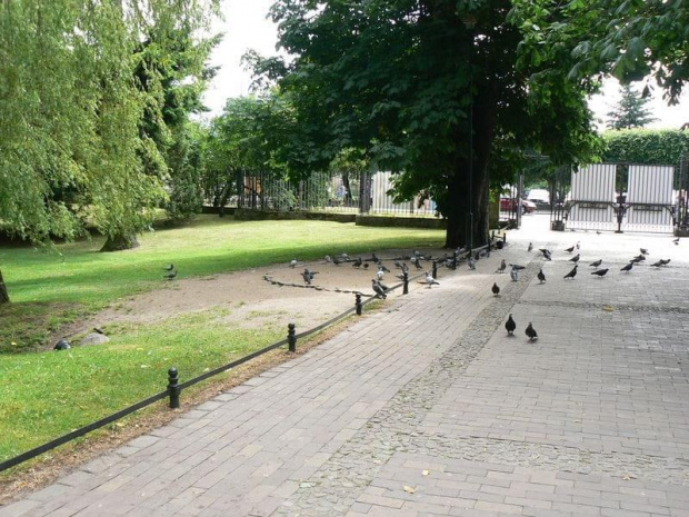 Widok na Główne wejście do Parku , z lewej strony linia w łuk wyłożona kamieniami ... mówiąca , że w tym miejscu można karmić ptaki #Parki