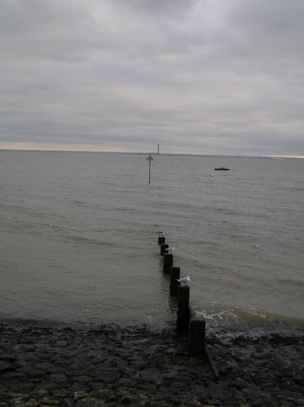 Southend-On Sea 15 litospada 2008 #WilekaBrytania #plaze #morze #ujscie #jesien #Suthend