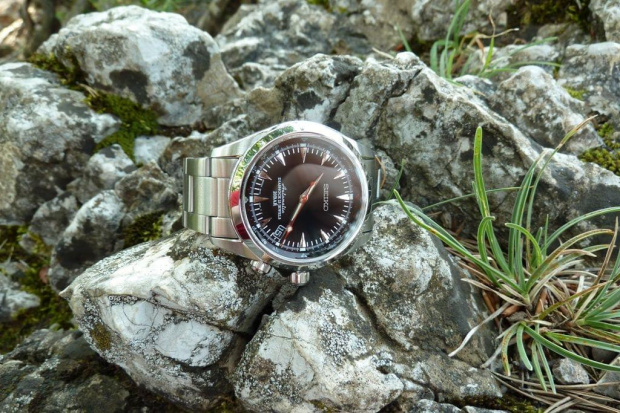 Seiko SARB015 Alpinist