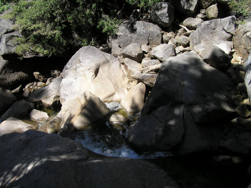 Park Yosemite