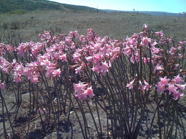 Point Reyes