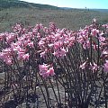 Point Reyes