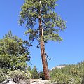 Park Yosemite