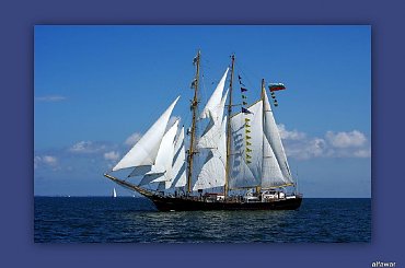 Gdynia - parada żaglowców #żaglowce #morze #Bałtyk