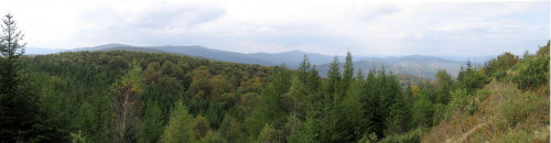 Panorama ze szczytu Dwernika Kamienia #Góry #Bieszczady #DwernikKamierń