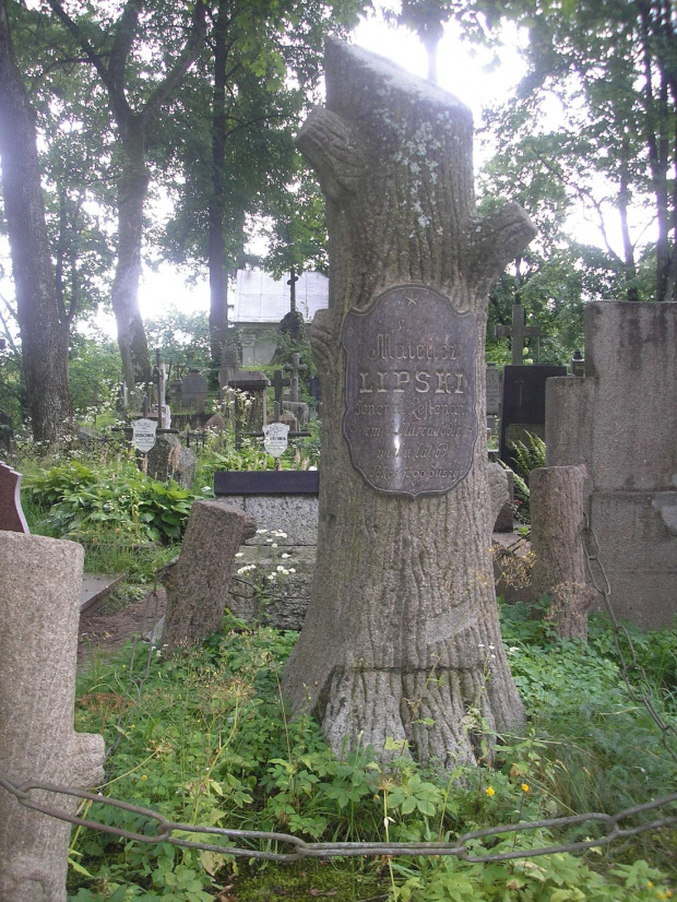 Cmentarz Na Rossie w Wilnie,takie pomniki symbolizowały że odszedł człowiek który nie pozostawił po sobie potomstwa-drzewo bez konarów