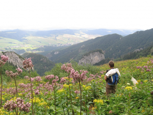 Panorama na Spisz coraz rozleglejsza #Góry #Tatry