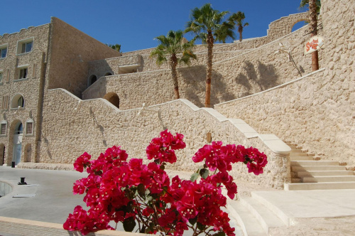 Citadel Azur Resort Egipt