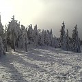 Śnieżnik, Schronisko, droga w kierunku Międzygórza