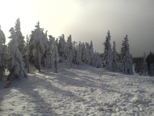Śnieżnik, Schronisko, droga w kierunku Międzygórza