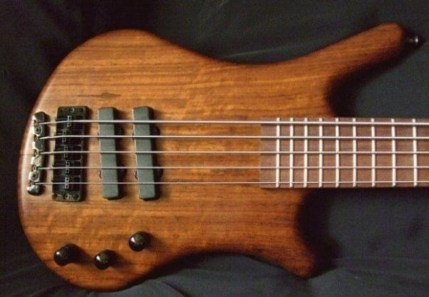 warwick thumb bass