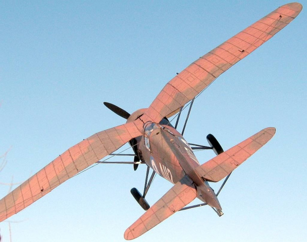 PZL P.24G