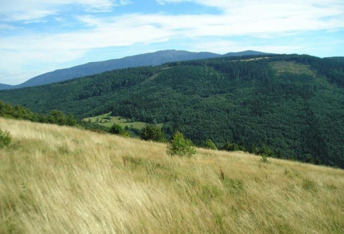 Przełęcz Klekociny, Kolisty Groń, Babia Góra