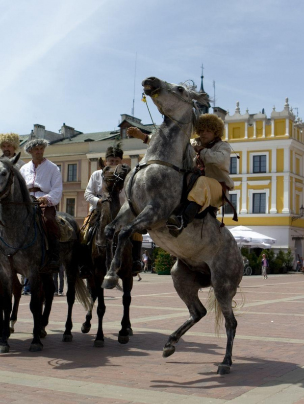 obrona twierdzy Zamość Starówka 2008r