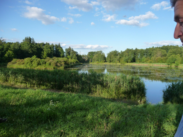 Białowieżą